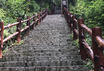佛坪熊猫谷旅游区第 41 张图片