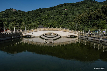 阳台山森林公园第 16 张图片