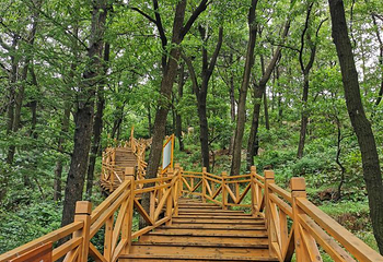 沂蒙山旅游区沂山景区第 77 张图片