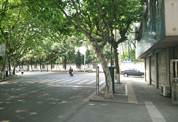 莲花庄公园第 4 张图片