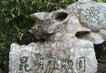 昆明植物园第 40 张图片