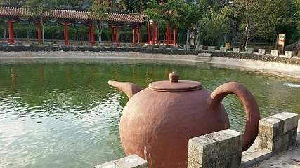 百鸟乐园第 24 张图片