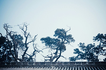 古城三庙第 27 张图片