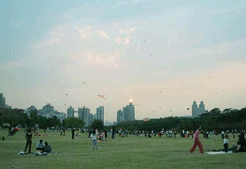 莲花山公园第 32 张图片