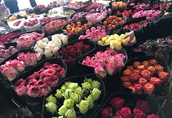 昆明斗南花卉市场第 46 张图片
