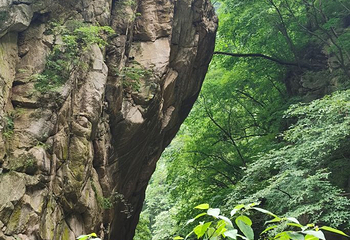 太平国家森林公园第 115 张图片