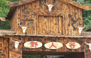 野人谷第 2 张图片