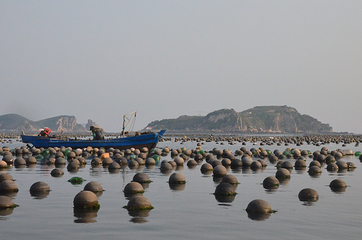 海王九岛第 20 张图片