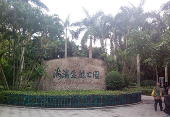 红树林海滨生态公园第 30 张图片