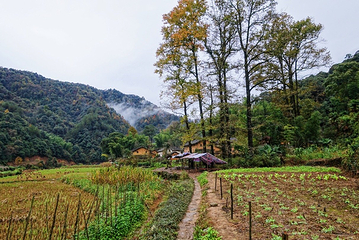 石城第 41 张图片