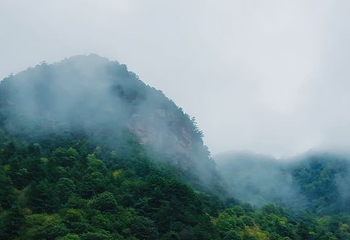 野荷谷第 14 张图片