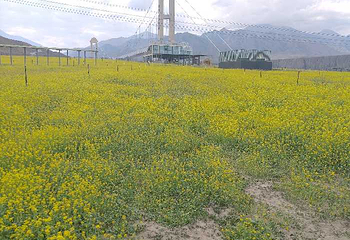 独山子大峡谷第 29 张图片