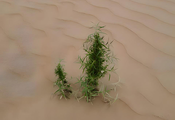 响沙湾第 157 张图片