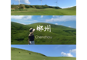 仰天湖大草原第 156 张图片