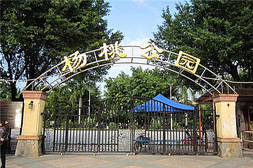 杨桃公园第 11 张图片