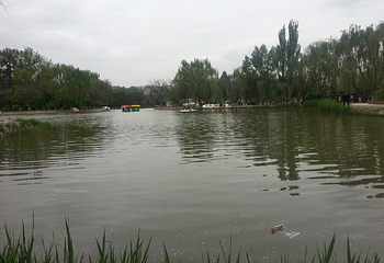 小西湖公园第 17 张图片