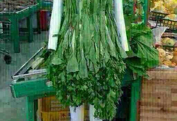 孩子王秋季儿童文化艺术节第 4 张图片