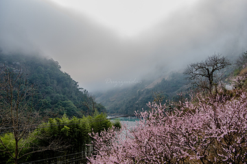 丙中洛风景区第 25 张图片