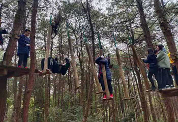 重庆飞悦森林探险乐园第 38 张图片