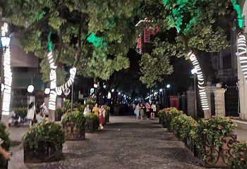 黎黄陂路博物馆第 9 张图片