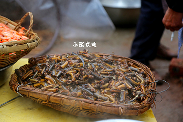 中国彩灯博物馆第 18 张图片