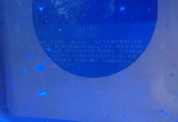 徐州海底世界第 15 张图片