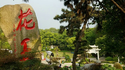 东湖牡丹园第 23 张图片