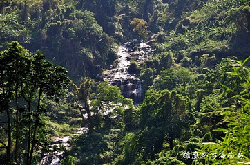 海南百花岭热带雨林文化旅游区第 36 张图片