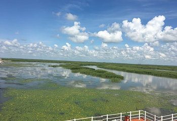 燕窝岛湿地生态旅游区第 6 张图片