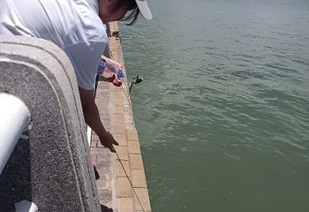 五缘湾 五缘通帆船第 5 张图片