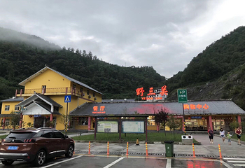 点军江南名花展第 8 张图片