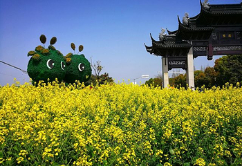 花米庄行第 15 张图片