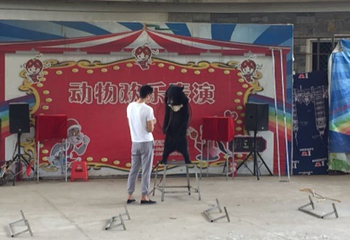 桂林动物园第 32 张图片