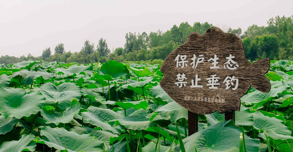 【大小同价】秀丽东方活动票 西晨票务 景点门票预订