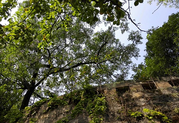 龙凤山公园第 18 张图片