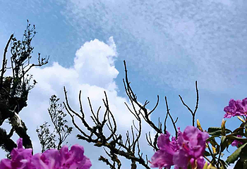 千家寨第 3 张图片