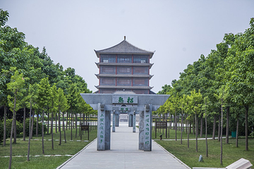 陈家沟第 17 张图片