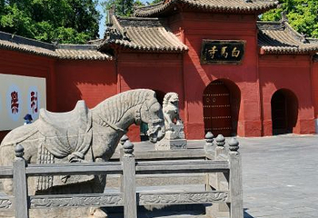 洛阳博物馆第 119 张图片