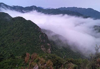 神雾山第 20 张图片