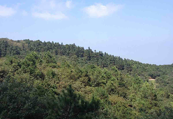 麻姑山第 25 张图片