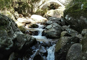 三爪仑观音岩第 19 张图片