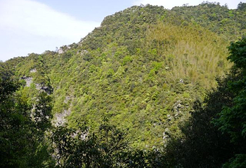 龙潭景区第 22 张图片