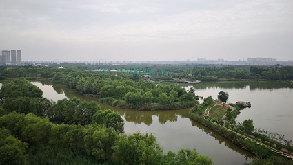 西安浐灞国家湿地公园第 92 张图片