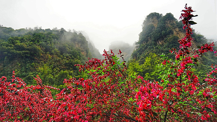 百丈峡第 5 张图片
