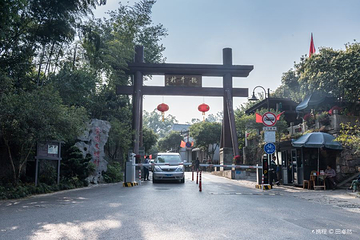 龙井村第 42 张图片