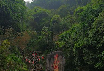 牛姆林生态旅游区第 54 张图片
