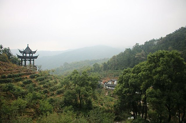 梅岭太阳谷大型梅花文化节第 25 张图片