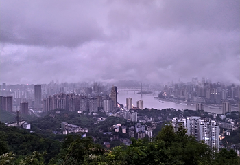 南山一棵树观景台第 43 张图片