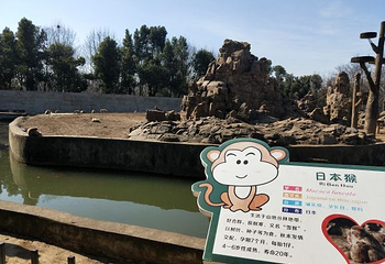 合肥野生动物园第 33 张图片