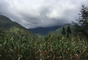 海螺沟半亩山庄温泉第 12 张图片